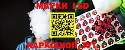 мдпв Камышлов