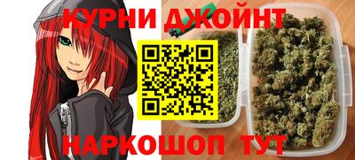 мдпв Камышлов